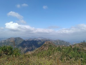 图片2